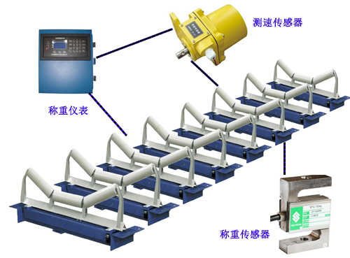 高精度皮帶稱組成